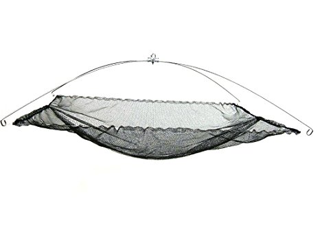 Ranger Umbrella Minnow Net with Poly Netting (42-Inch x 42-Inch)