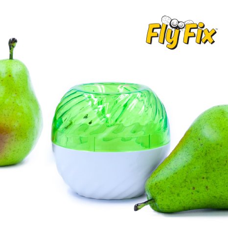 FlyFix Fruit Fly Trap Reusable 1 GreenWhite