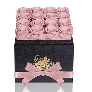 Perfectione Roses Handmade Preserved Roses in a Box, Forever Real Roses That Last Up to 3 Years, Preserved Flower Birthday Mothers Day Valentines Day Gifts for Her (Dusty Rose)