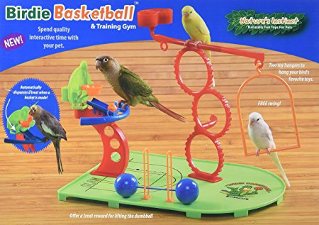 Caitec Nature's Instinct Birdie Basketball Playground