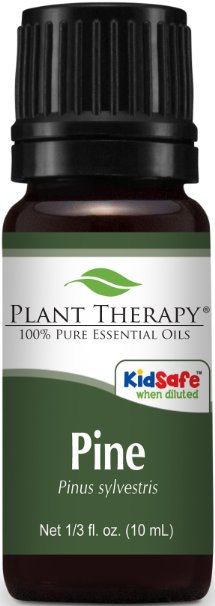 Pine Essential Oil 10 ml 100 Pure Undiluted Therapeutic Grade
