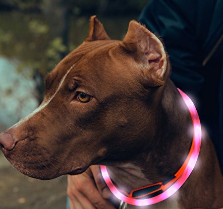 BSeen (TM) LED Dog Collar, USB rechargeable, Glow or Flash for ultimate safety, Cut to resize to fit 11"-27", Good for Small, Medium and Large Dogs, Available in multiple colors