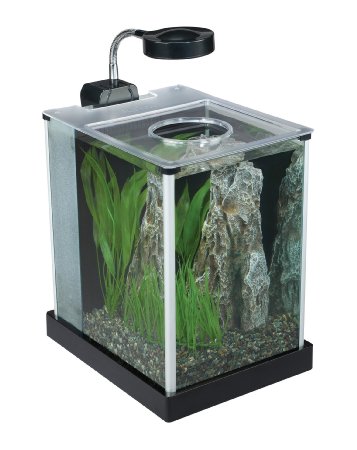 Fluval SPEC Desktop Glass Aquarium, 2-gallon