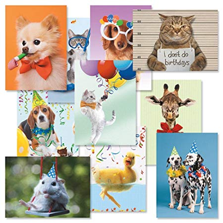 Kids Photo Birthday Greeting Cards Value Pack - Set of 20 (10 designs), Large 5" x 7", Happy Birthday Cards with Sentiments Inside