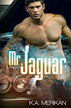 Mr. Jaguar (contemporary M/M cinderfella romance)