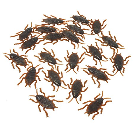 Plastic Cockroaches : package of 72