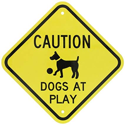 SmartSign 3M Engineer Grade Reflective Sign, Legend"Caution: Dogs at Play" with Graphic, 12" square, Black on Yellow