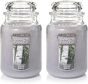 Yankee Candle Silver Birch Scented, Classic 22oz Large Jar Single Wick Aromatherapy Candle, Over 110 Hours of Burn Time, Apothecary Jar Fall Candle, Autumn Candle Scented for Home (Pack of 2)