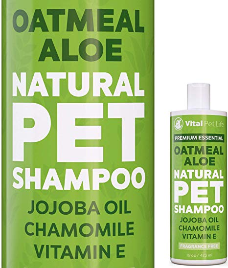 Shampoo for Dogs & Cats with Oatmeal, Aloe Vera, Chamomile, Jojoba Oil, Vitamin E - All Natural and Hypoallergenic, Helps Dry Coats & Itchy Sensitive Skin, No Parabens or Artificial Dyes, 16 oz