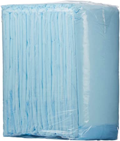 Wings Underpad 23 X 36 Inch Disposable Fluff Light Absorbency, 1093 - Pack of 10