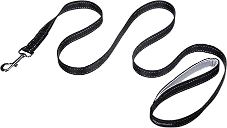 AmazonBasics Padded Single Handle Dog Leash - 5 Foot, Black