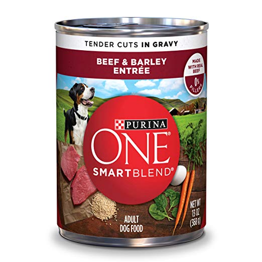 Purina ONE SmartBlend Tender Cuts Entree in Gravy Adult Wet Dog Food - (12) 13 oz. Cans