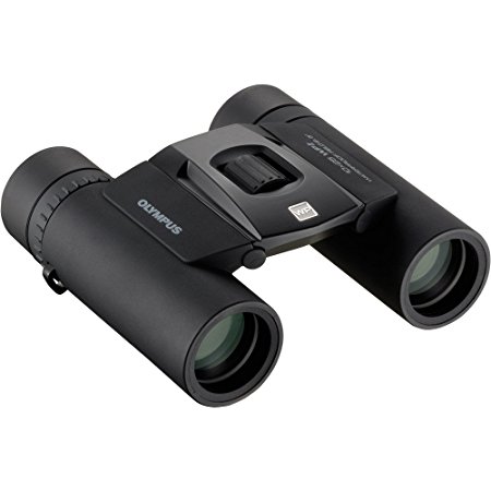 Olympus V501012BU000 10x25 WP II Binocular (Black)