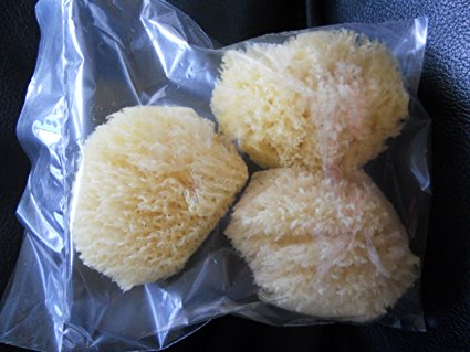 3pcs/Set 100% Natural Sea Sponge Facial Puff,Soft and Deep Clean Your Face Without Hurting Your Skin,Pure Sea Facial Puff.2.5-3" Assorted Size. Super Saving..