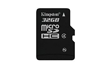 Kingston Technology 32 GB SDHC Class 4 Memory Card without Full Size SD Adapter