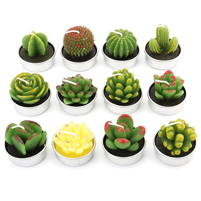 Lawei 12 Pieces Cactus Tealight Candles - Handmade Delicate Succulent Mini Plants Candles - Perfect for Home Decor Candles Festival Wedding Props and House-Warming Party