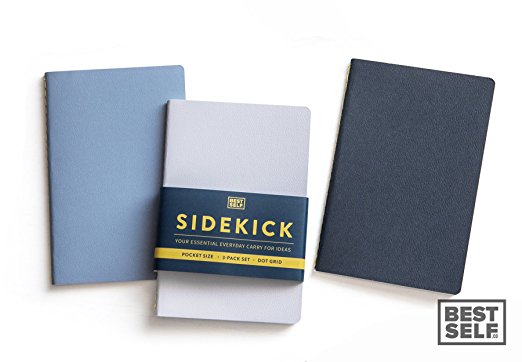 Sidekick: The Scratch Pad, Memo Pad, Dot Grid Note Pad That Can Easily Be Carried Anywhere (3 Pack)