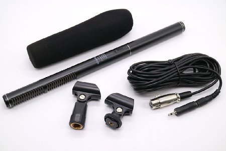 HTDZ HT-81 Mic Microphone 14.37 inch Professional Electret Condenser Microphone