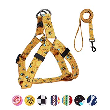QQPETS Dog Harness Leash Set, Adjustable Heavy Duty No Pull Halter Harnesses for Large, Medium, Small Breed Dogs, Back Clip, Anti-Twist, Perfect for Walking
