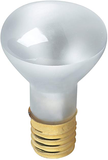 Globe Electric 00090 30W Spot Light R12 Incandescent Light Bulb, E17 Intermediate Base, 220 Lumens