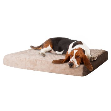 PAW Memory Foam Dog Bed with Removable Cover