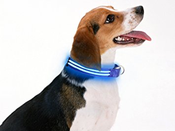 Greenmall USB Rechargeable LED Dog Collar w/ Quick-Release Buckle Makes Your Dog Visible Safe & Seen