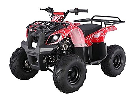 TAO TAO - Brand New 4 Wheeler fully automatic engine with REVERSE - ATA125D