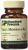 Standard Process Trace Minerals-b12 90 Tablets
