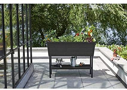 KETER XL Urban Bloomer Resin Elevated Planter Raised Garden Bed