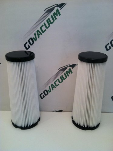 Dirt Devil F1 Hepa Filters for Dirt Devil 2JC0280000 & 3JC0280000 Vacuums, 2 Pack