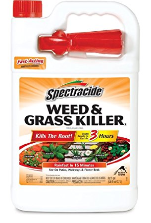 Spectracide Weed & Grass Killer2 (Ready-to-Use) (HG-96017) (Pack of 4)