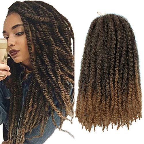 5Packs Marley Twist Crochet Hair Long Ombre Afro Kinky Curly Hair Marley Braiding Hair Extensions Synthetic Fiber Marley Braids for Twist (18inch,#1B/27)