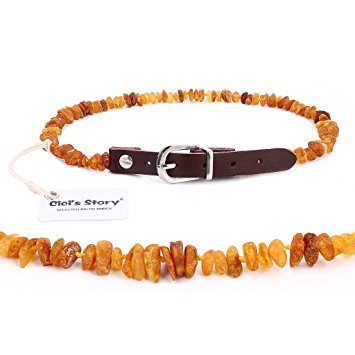 Baltic Amber Flea and Tick Collar with Adjustable Leather Strap for Dogs and Cats - Pet Gift Box - Untreated Authentic Baltic Amber - Natural Flea Prevention Control and Treatment