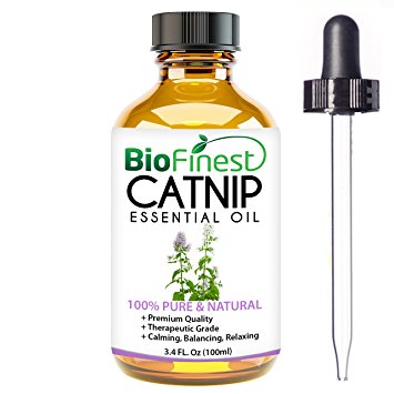 BioFinest Catnip Oil - 100% Pure Catnip Essential Oil - Boost appetite, Detox, Relax Mind - Premium Quality - Therapeutic Grade - Best For Aromatherapy - FREE E-Book and Dropper (100ml)