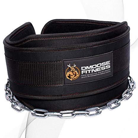 DMoose Fitness Dip Belt with Chain for Weightlifting, Pullups, Powerlifting, CrossFit, and Bodybuilding Workouts, Long Heavy Duty Steel, Comfortable Neoprene Waist Support