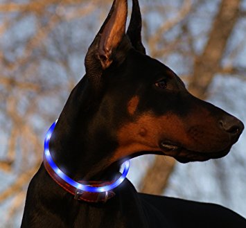 Bseen Led Dog Collar USB Rechargeable Glowing Pet Safety Collars Water Resistant Light up Adjustable Flashing Collar for Dogs