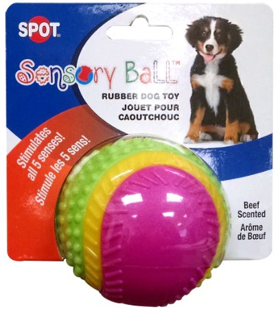 Ethical Pets Sensory Ball Dog Toy