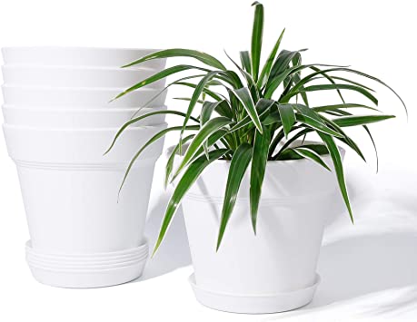 Plastic Plant Pots Indoor - POTEY 004 6 Inch Planters with Drainage Holes and Trays, Modern Decorative for All House Plants, Flowers, Succulents, Orchid, Snake Plant, Hanging Plant - White, Set of 6