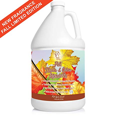 Pet Stain & Odor Miracle - Enzyme Cleaner for Dog and Cat Urine, Feces, Vomit, Drool (Fall Spice Scent, 1 Gallon)