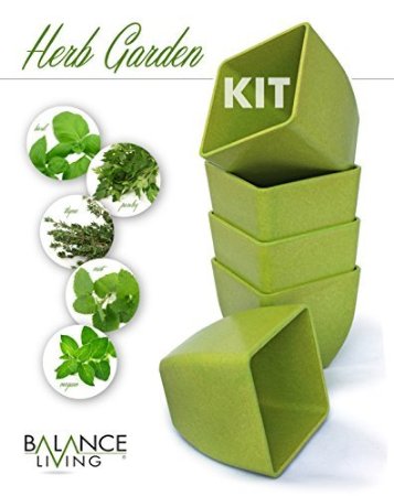 Balance Living® Herb Seeds Growing Kit - Set of 5 pots and organic soil