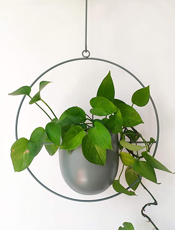 RISEON Boho Green Metal Plant Hanger,Metal Wall and Ceiling Hanging Planter, Modern Planter, Mid Century Flower Pot Plant Holder, Minimalist Planter for Indoor Outdoor Home Decor