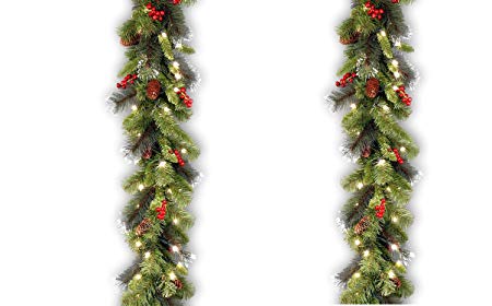 National Tree 9 Foot by 10 Inch Crestwood Spruce Garland with 50 Warm White Battery Operated LED Lights (CW7-306-9A-B1) (Pack of 2)