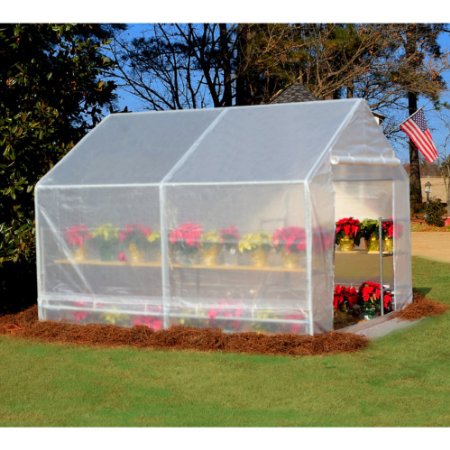 King Canopy GH1010 10-Feet by 10-Feet Fully Enclosed Greenhouse Clear