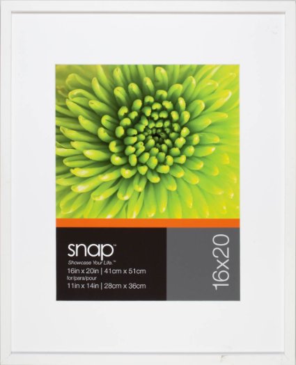 Snap White 16-inch-20-inch Wall Frame Matted to 11-inch-by-14-inch