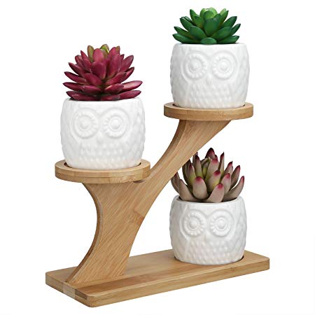 OUSHINAN 3pcs Owl Succulent Pots with White Tier Bamboo Saucers Stand Holder