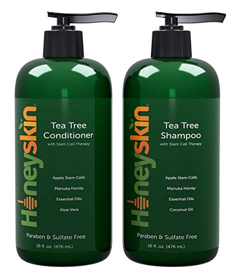 Tea Tree Oil Shampoo & Conditioner Set - with Manuka Honey, Stem Cell & Coconut - Dandruff & Hair Loss Treatment - Soothes Itchy Scalp & Hair Thickening - Paraben & Sulfate Free - Made in USA (16oz)