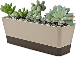 Window Box Planter Window Planter,Rectangle Flower Pot Plant Planter Flower Pots Plant Containers Succulent Cactus Window Box with Saucer,Small Succulent Cactus Plastic Plant Pot for Windowsill(1)