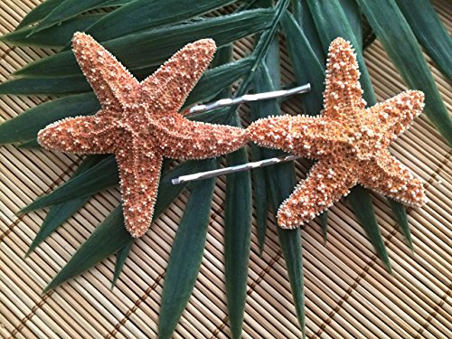 Sugar Starfish Bobby Pins, Set of 2