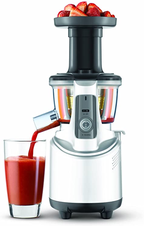 Breville BJS600XL Fountain Crush Masticating Slow Juicer