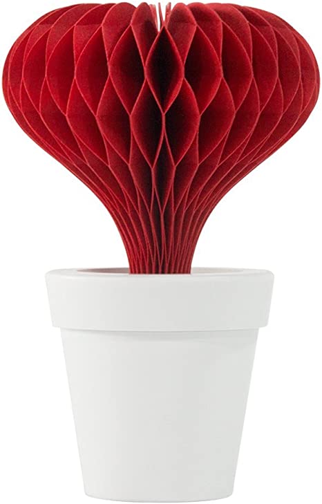 HSI Lovepot Heart Non-Electric Personal Humidifier in Red